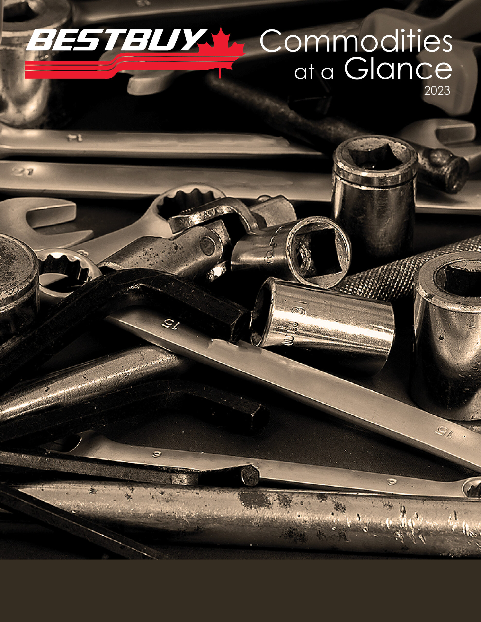 2023 Commodity Catalogue Bestbuy Distributors Limited